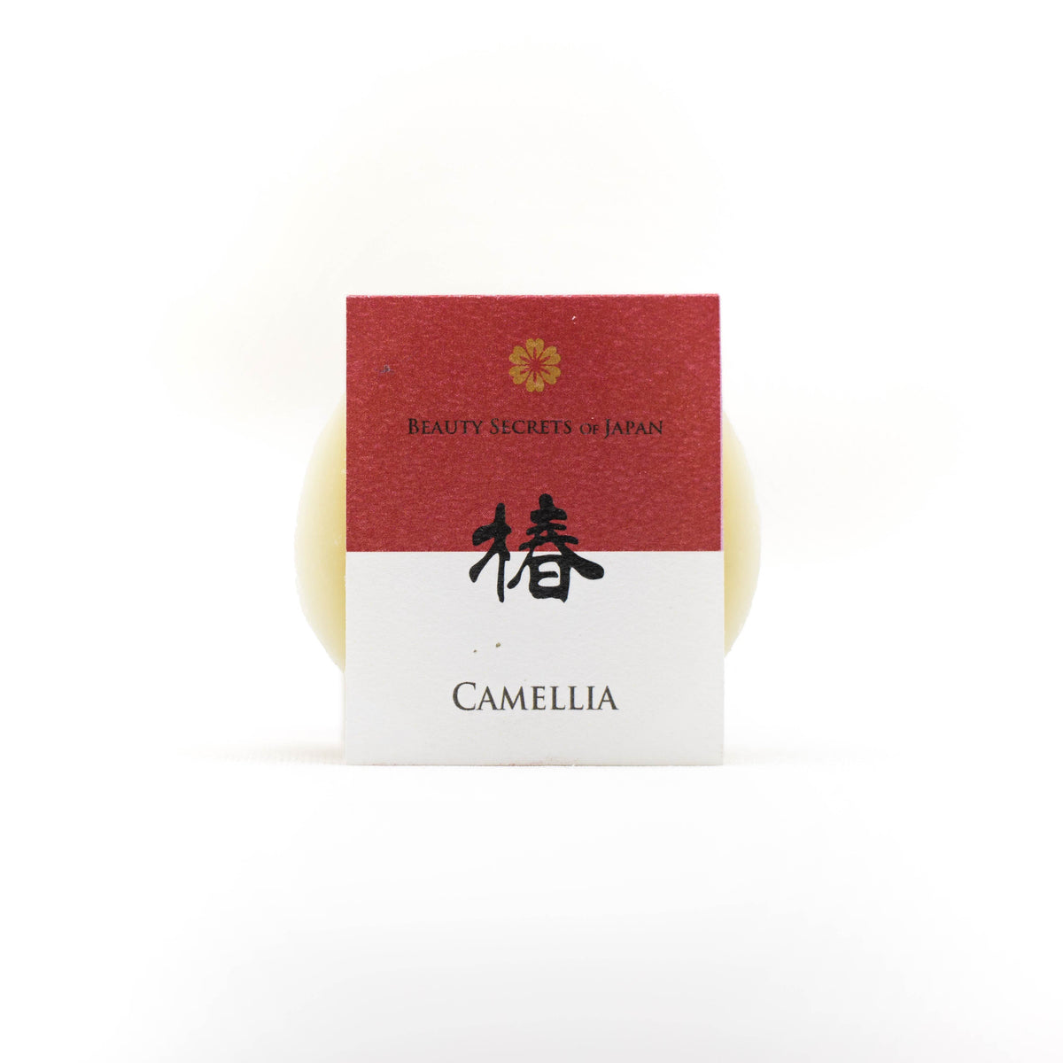 Coffret cadeau de soins personnels japonais Tsubaki